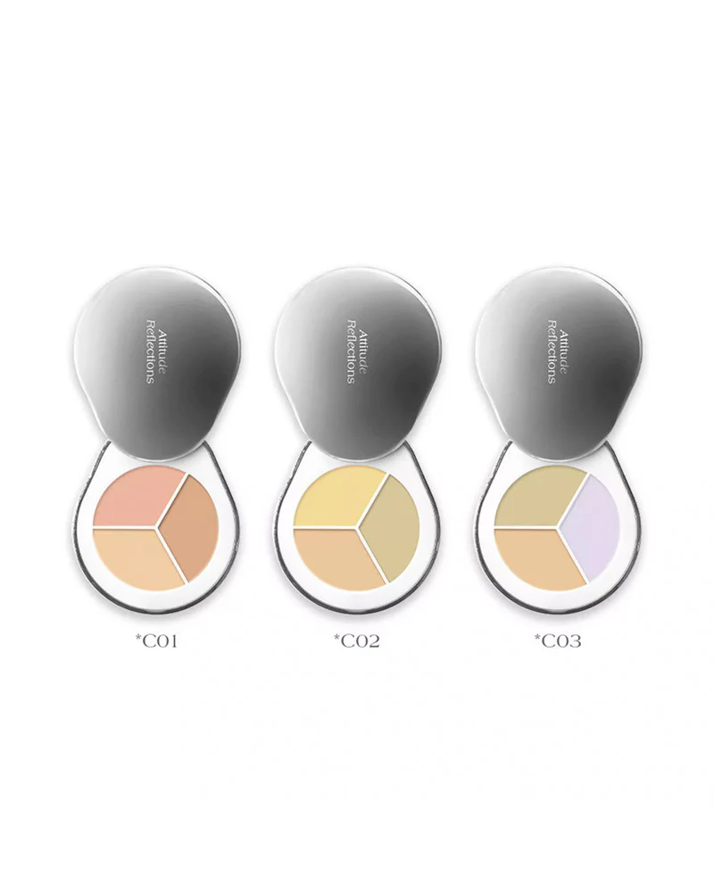 Dear.A Perfect Cover Concealer Palette: With Angled Brush - Image 5