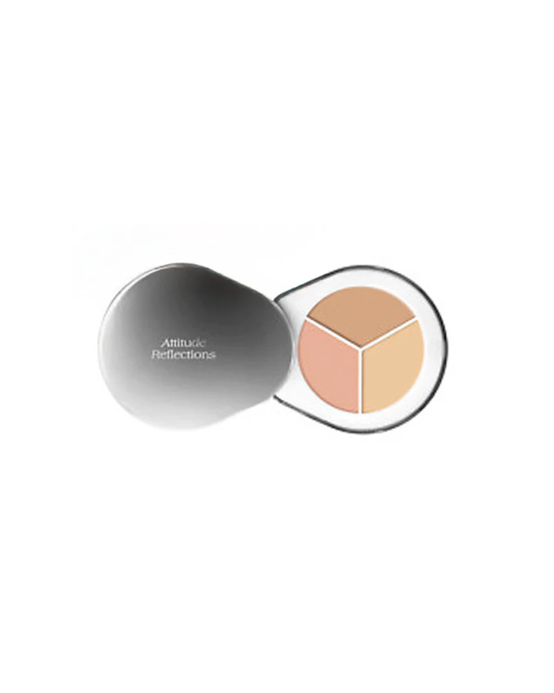 Dear.A Perfect Cover Concealer Palette: With Angled Brush - Image 7