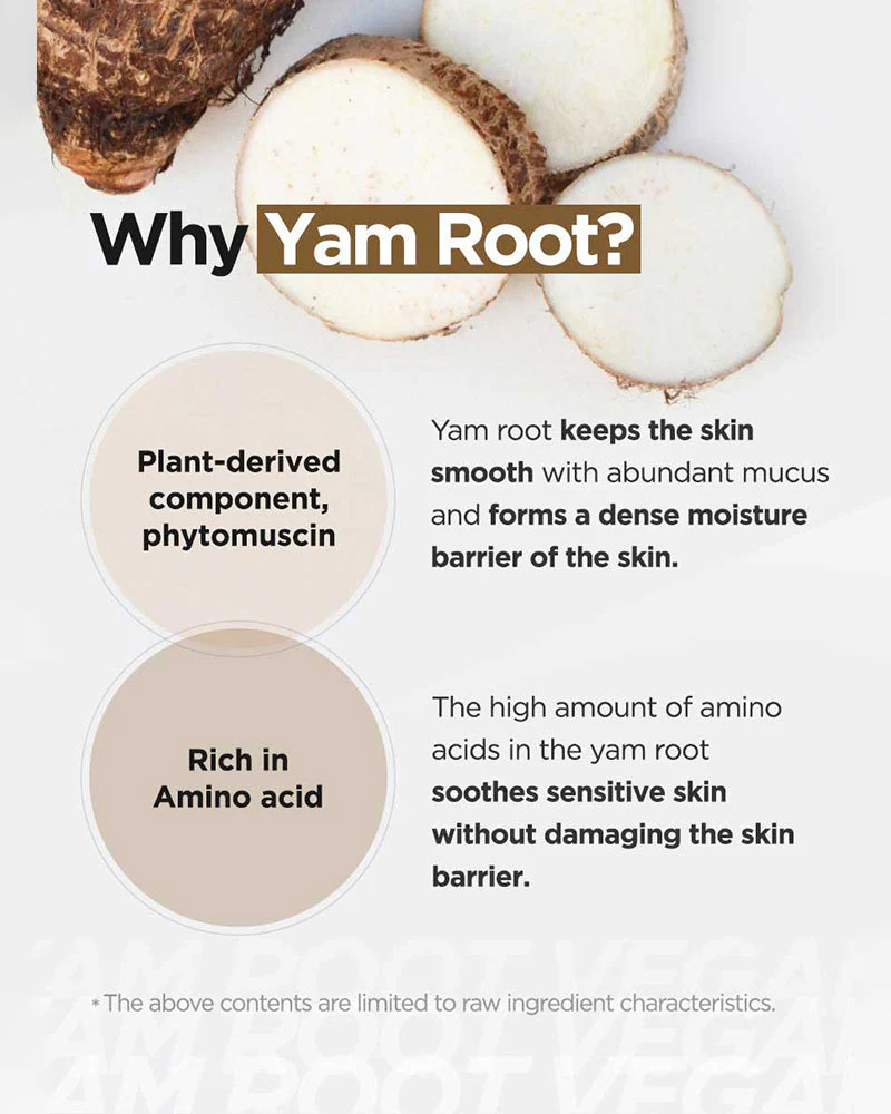 ISNTREE Yam Root Vegan Milk Cleanser - Image 9