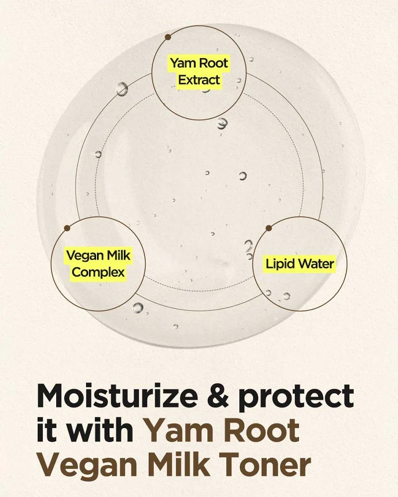ISNTREE Yam Root Vegan Milk Toner - Image 4