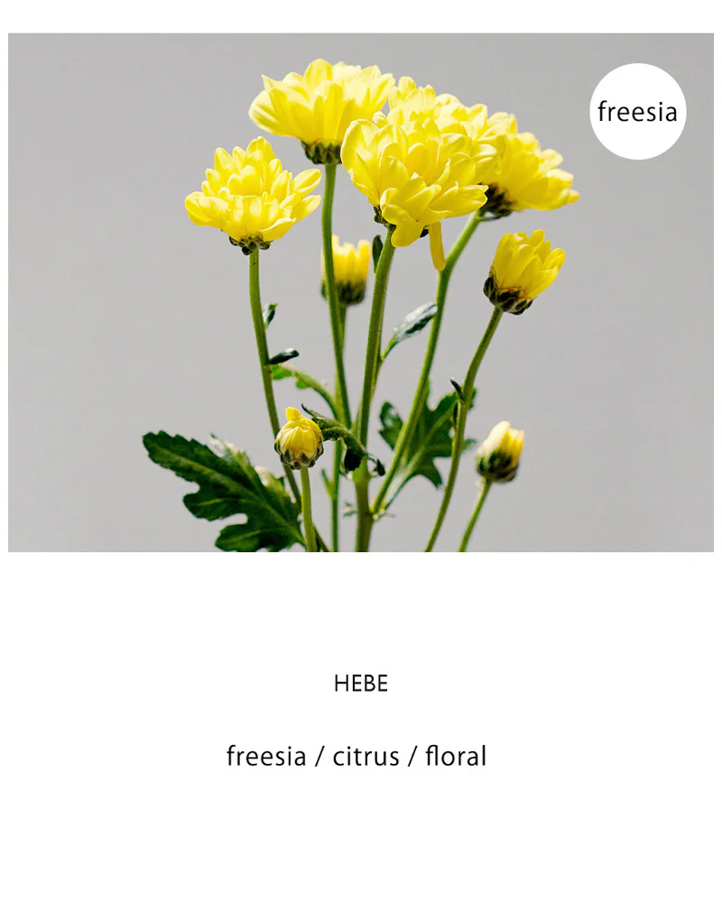 LIBER Fabric Perfume #Hebe - Image 3
