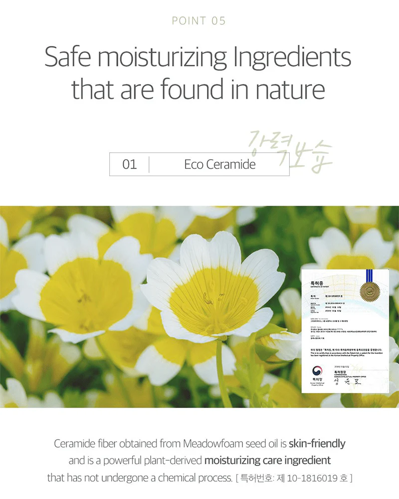 ROUND LAB Soybean Cleansing Oil - Image 12