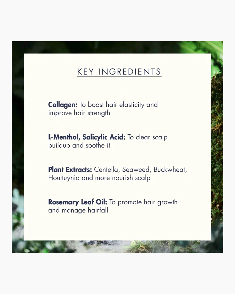 Treecell Night Collagen Shampoo Midnight Forest - Image 8